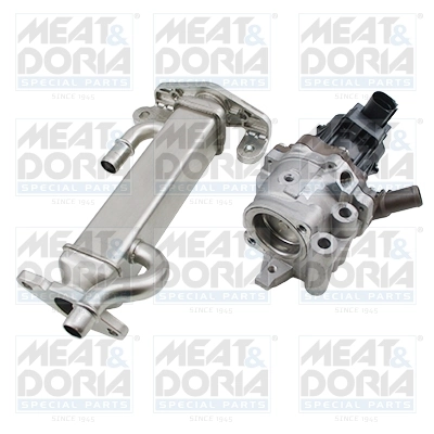 EGR Module